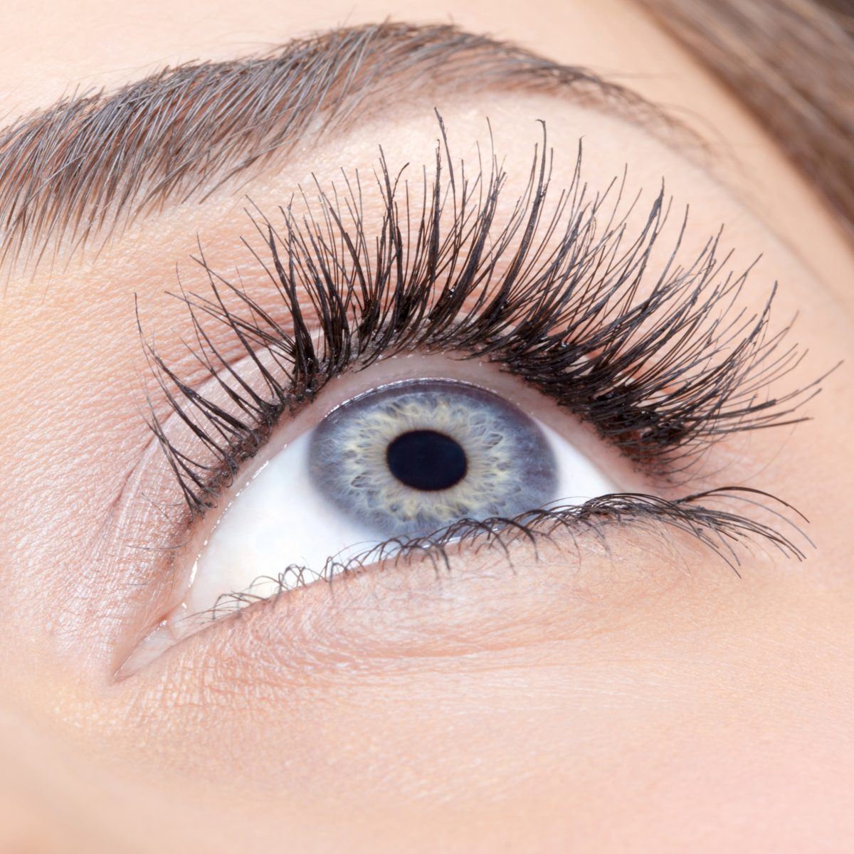 Lash Lift The SPA By Australian Academy of Beauty Dermal and Laser